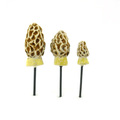 Mini Morel Mushrooms | Set of 3